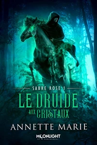 Le Druide aux cristaux