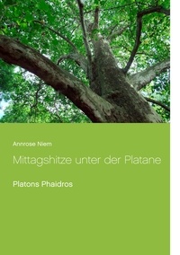 Annrose Niem et Stadtmuseum Quakenbrück e.V. - Mittagshitze unter der Platane - Platons Phaidros.
