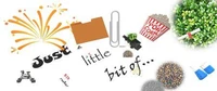 Just A Little Bit Of....