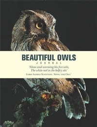  Anonyme - Beautiful owls journal.