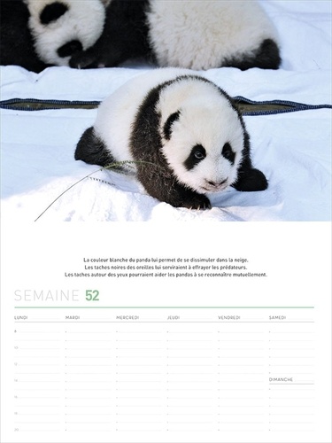 Calendrier 52 semaines panda mania