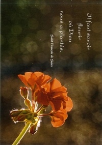  Anonyme - Carte Postale Géranium dans la lumière - à l'unité - Il faut savoir fleurir où Dieu nous a plantés..