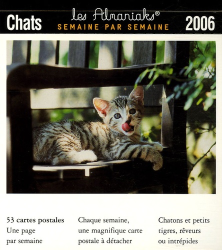  Anonyme - Chats - 53 Cartes postales.