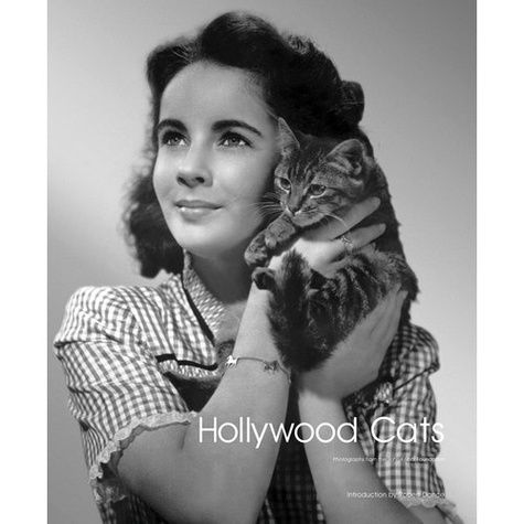  Anonyme - Hollywood cats.