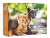  Anonyme - L'agenda-calendrier chats et chatons.