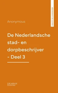 De Nederlandsche stad- en dorpbeschrijver - Deel 3