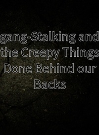  Anonymous - Gang-Stalking and the Creepy Things Done Behind our Backs.