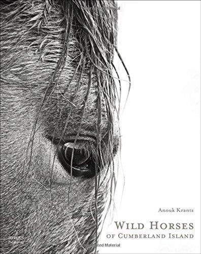 Anouk Masson Krantz - Wild horses of Cumberland island.