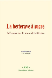 La betterave à sucre
