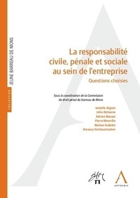  Anthemis - La responsabilité civile, pénale et sociale au sein de l'entreprise.