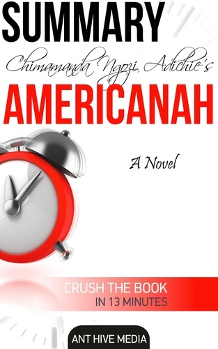  AntHiveMedia - Chimamanda Ngozi's Americanah  Summary.