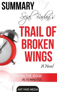 Sejal Badani's Trail of Broken Wings  Summary
