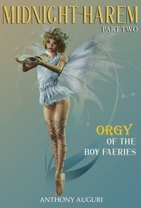  Anthony Auguri - Midnight Harem: Orgy of the Boy Faeries, Part Two.