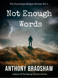 Not Enough Words