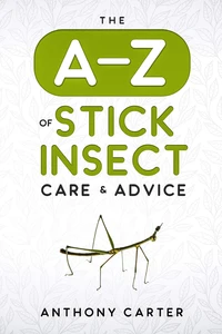 The A-Z of Stick Insect Care &amp; Advice