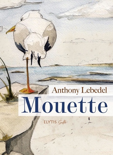 Anthony Lebedel - Mouette.