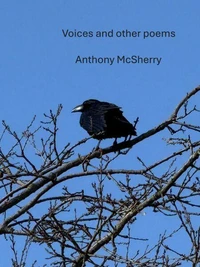 Voices and other poems