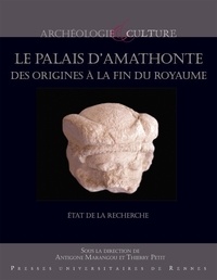 Antigone Marangou et Thierry Petit - Le palais d'Amathonte, des origines à la fin des royaumes.