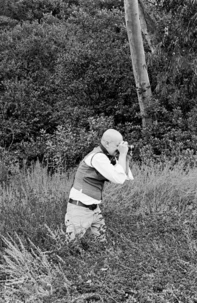 Essais choisis sur l'art et la littérature, 1966-2005