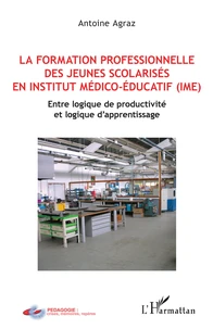 La formation professionnelle des jeunes scolarisés en institut médico-éducatif (IME)