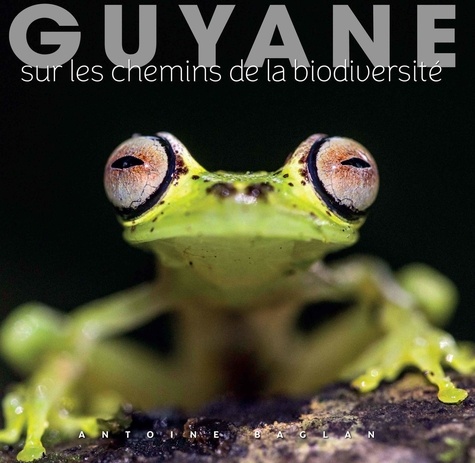 Guyane. Sur les chemins de la biodiversité