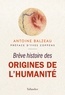 Antoine Balzeau - Brève histoire des origines de l'humanité.