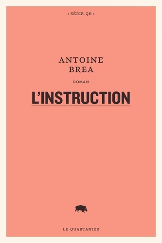 L'instruction - Occasion