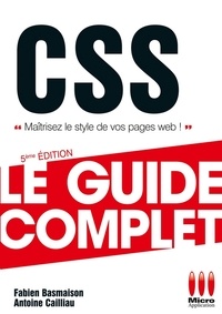 Antoine Cailliau et Fabien Basmaison - Css.