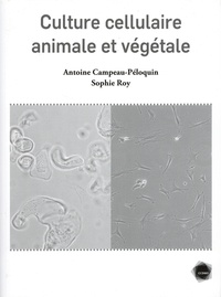 Antoine Campeau-Péloquin et Sophie Roy - Culture cellulaire animale et végétale.