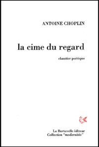 Antoine Choplin - La cime du regard.