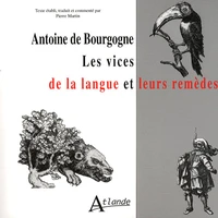 Les vices de la langue et leurs remèdes