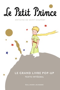 Livre de téléchargement Epub Le Petit Prince  - Le grand livre pop-up DJVU