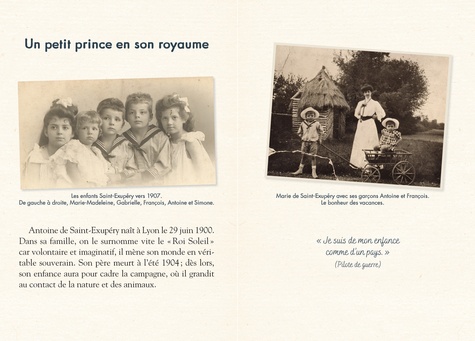 Le Petit Prince  Edition collector