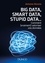 Big Data, Smart Data, Stupid Data.... Comment (vraiment) valoriser vos données. Petit manuel à l'usage de ceux qui veulent accélerer et réussir