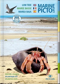 Marée basse
