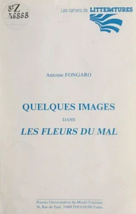 Quelques images dans Les Fleurs du mal