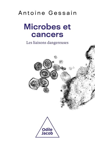 Microbes et cancers. Les liaisons dangereuses
