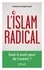 L'islam radical - Occasion