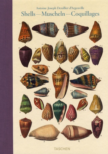 Antoine- Joseph Dezallier d'Argenville - Shells ; Muscheln ; Coquillages - Conchology or the natural history of sea, freshwater, terrestrial and fossil shells 1780.