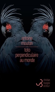 Antoine Mouton - Toto perpendiculaire au monde.