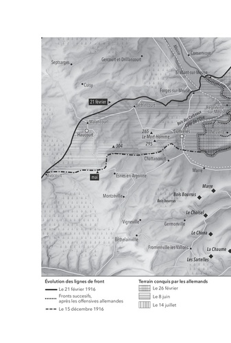 Verdun 1916. Une histoire franco-allemande de la bataille