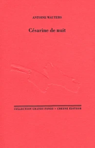 Césarine de nuit