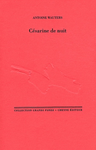 Antoine Wauters - Césarine de nuit.