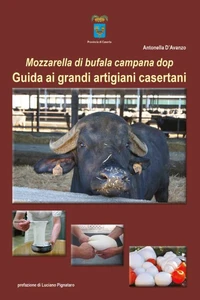 Mozzarella di bufala campana dop. Guida ai grandi artigiani casertani