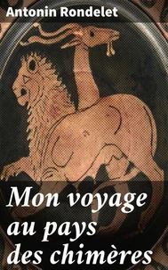 Mon voyage au pays des chimères