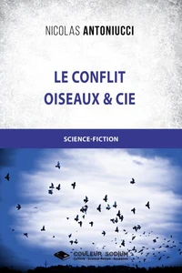 Le conflit