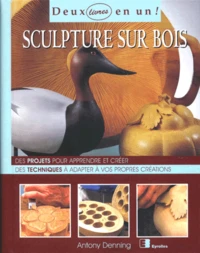 Sculpture Sur Bois. Des Projets Pour Apprendre A Creer, Des Techniques A Adapter A Vos Propres Creations.