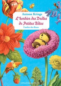 Antoon Krings - L'herbier des Drôles de Petites Bêtes.