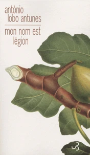 Mon nom est légion