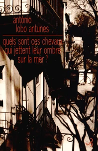 Quels sont ces chevaux qui jettent leur ombre sur la mer ?